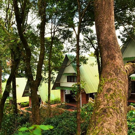Misty Woods Resort Kakkabe Extérieur photo