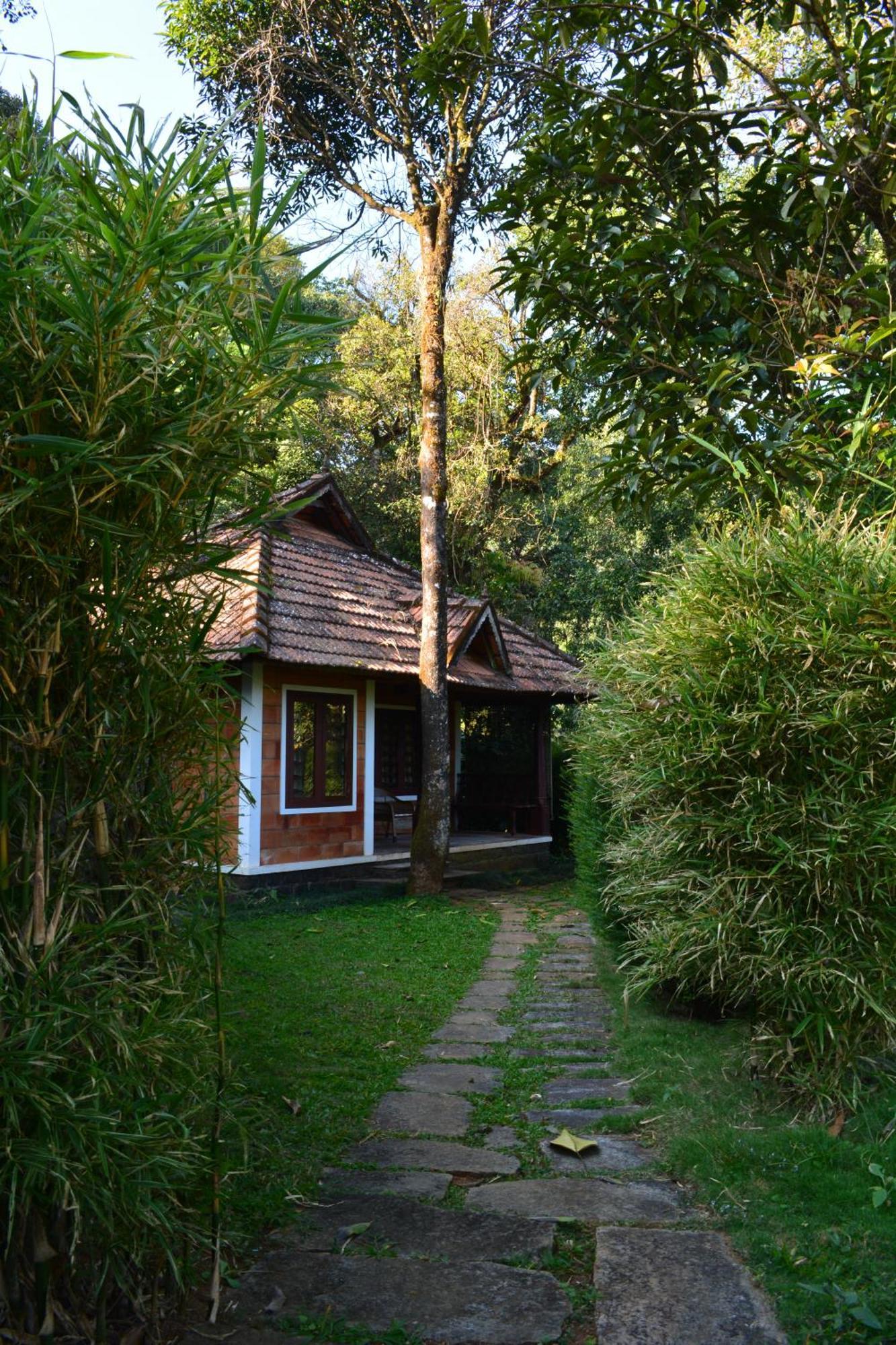 Misty Woods Resort Kakkabe Chambre photo