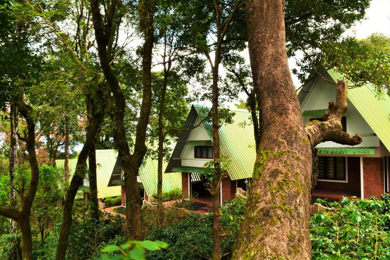 Misty Woods Resort Kakkabe Extérieur photo